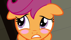 Size: 1152x648 | Tagged: safe, screencap, scootaloo, pegasus, pony, g4, ponyville confidential, blushing, female, filly, floppy ears, foal, gritted teeth, solo, teeth