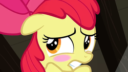 Size: 1152x648 | Tagged: safe, screencap, apple bloom, earth pony, pony, g4, ponyville confidential, season 2, apple bloom's bow, blushing, bow, embarrassed, female, filly, floppy ears, foal, hair bow, solo