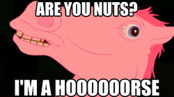 Size: 624x349 | Tagged: safe, artist:zone, pinkie pie, horse, g4, bloodshot eyes, female, floppy ears, hoers, horsified, image macro, impact font, mare, meme, mr. horse, reaction image, realistic, ren and stimpy, ren and stimpy adult party cartoon, solo, uncanny valley, wide eyes, zone-sama