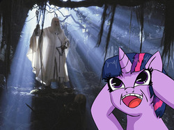 Size: 1000x746 | Tagged: safe, twilight sparkle, human, g4, gandalf, lord of the rings