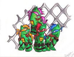 Size: 647x500 | Tagged: safe, artist:dawn-of-havoc, donatello, leonardo, michelangelo, ponified, raphael, teenage mutant ninja turtles