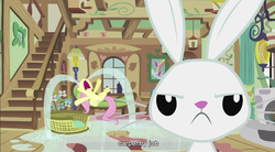 Size: 855x472 | Tagged: safe, edit, edited screencap, screencap, angel bunny, fluttershy, pegasus, pony, rabbit, g4, ponyville confidential, season 2, angel bunny is not amused, animal, carpentry, crying, female, flailing, fluttercry, fluttershy's cottage, frown, mare, nose in the air, ocular gushers, pink hair, pink mane, pink tail, sad, tail, unamused, wings, yellow body, yellow coat, yellow fur, yellow pony, yellow wings, youtube caption