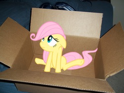 Size: 2048x1536 | Tagged: safe, fluttershy, pony, g4, box, cute, daaaaaaaaaaaw, filly, flutterbox, foal, irl, my little fluttershy, photo, ponies in real life, vector