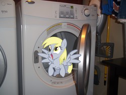 Size: 4000x3000 | Tagged: safe, derpy hooves, pony, g4, irl, photo, ponies in real life, vector