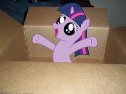 Size: 4000x3000 | Tagged: safe, twilight sparkle, pony, g4, box, filly, foal, irl, photo, ponies in real life