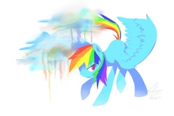 Size: 2700x1800 | Tagged: safe, artist:stupidyou3, rainbow dash, pegasus, pony, g4, cloud, female, mare, simple background, solo, white background