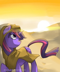 Size: 2500x3000 | Tagged: safe, artist:stupidyou3, twilight sparkle, pony, g4, clothes, female, high res, solo