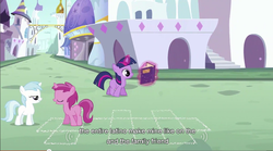 Size: 855x476 | Tagged: safe, screencap, cotton cloudy, ruby pinch, twilight sparkle, g4, foal, youtube caption