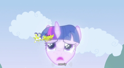 Size: 851x471 | Tagged: safe, screencap, twilight sparkle, pegasus, pony, a canterlot wedding, g4, b.b.b.f.f, bbbff, chariot, cloud, crying, manly, royal guard