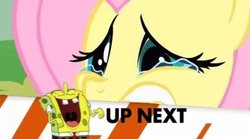 Size: 386x214 | Tagged: safe, fluttershy, g4, inappropriate timing spongebob banner, male, spongebob laughs at your misery, spongebob squarepants, spongebob squarepants (character)