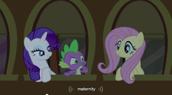 Size: 853x474 | Tagged: safe, edit, edited screencap, screencap, fluttershy, rarity, spike, dragon, pony, unicorn, g4, over a barrel, season 1, female, male, mare, youtube caption