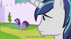 Size: 857x472 | Tagged: safe, edit, edited screencap, screencap, shining armor, twilight sparkle, pony, unicorn, g4, butt, female, male, mare, plot, stallion, youtube caption