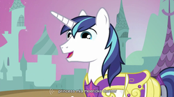 Size: 853x474 | Tagged: safe, screencap, shining armor, pony, unicorn, a canterlot wedding, g4, male, princess mia moericke denser, solo, stallion, wat, youtube caption