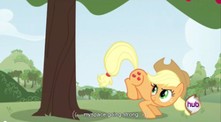 Size: 853x472 | Tagged: safe, screencap, applejack, earth pony, pony, g4, applebucking, applejack's hat, blonde, blonde hair, blonde mane, blonde tail, cowboy hat, female, freckles, green eyes, hair tie, hat, hub logo, logo, looking up, mane tie, mare, myspace, opening, orange body, orange coat, orange fur, orange pony, smiling, solo, tail, tail tie, the hub, theme song, tree, yellow hair, yellow mane, yellow tail, youtube caption