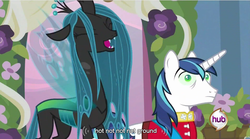 Size: 853x474 | Tagged: safe, screencap, queen chrysalis, shining armor, changeling, changeling queen, pony, unicorn, a canterlot wedding, g4, female, male, stallion, youtube caption