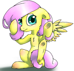 Size: 470x450 | Tagged: safe, artist:kiruki1999, fluttershy, pegasus, pony, g4, female, floppy ears, looking at you, mare, simple background, sitting, solo, spread wings, strategically covered, tail censor, three quarter view, white background, wings