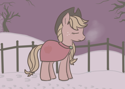 Size: 700x500 | Tagged: safe, artist:milkweed, applejack, earth pony, pony, g4, clothes, cold, eyes closed, female, night, snow, solo, winter