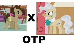 Size: 696x420 | Tagged: safe, doctor whooves, mayor mare, time turner, earth pony, pony, g4, doctor mayor, duo, exploitable meme, joke shipping, meme, otp