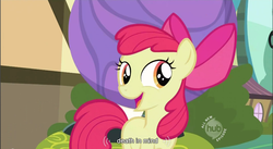 Size: 857x471 | Tagged: safe, screencap, apple bloom, earth pony, pony, g4, season 2, the cutie pox, apple bloom's bow, bow, bowling alley, bowling ball, bush, caption, female, filly, foal, hair bow, hub logo, outdoors, ponyville, smiling, solo, text, the hub, youtube caption