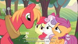 Size: 1366x768 | Tagged: safe, edit, edited screencap, screencap, apple bloom, big macintosh, scootaloo, sweetie belle, earth pony, pegasus, pony, unicorn, g4, ponyville confidential, caption, cutie mark crusaders, female, filly, foal, male, stallion, text, youtube caption, youtube link