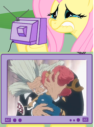 Size: 568x771 | Tagged: safe, fluttershy, pony, g4, crying, dr. hiriluk, exploitable meme, meme, one piece, tony tony chopper, tv meme