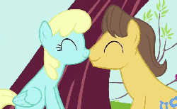 Size: 798x494 | Tagged: safe, edit, edited screencap, screencap, caramel, sassaflash, earth pony, pegasus, pony, g4, hearts and hooves day (episode), season 2, animated, boop, caraflash, cropped, eyes closed, female, hearts and hooves day, loop, male, mare, nose wrinkle, noseboop, nuzzling, ship:caraflash, ship:sassamel, shipping, stallion, straight, the perfect stallion