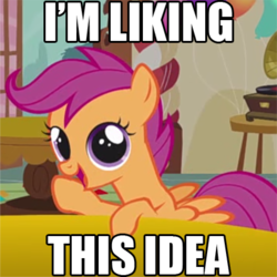 Size: 413x413 | Tagged: safe, edit, edited screencap, screencap, scootaloo, pegasus, pony, call of the cutie, g4, season 1, cropped, cute, cutealoo, female, image macro, impact font, looking at you, open mouth, open smile, reaction image, small wings, smiling, smiling at you, solo, spread wings, wings