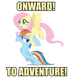 Size: 838x881 | Tagged: safe, fluttershy, rainbow dash, pegasus, pony, g4, caption, carrying, dragging, duo, female, flying, folded wings, image macro, mare, onward, simple background, spread wings, text, to adventure, varying degrees of amusement, white background, wings