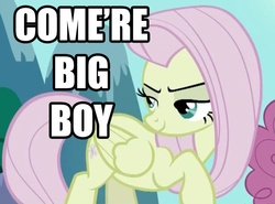 Size: 649x479 | Tagged: safe, edit, edited screencap, screencap, fluttershy, pegasus, pony, g4, the return of harmony, caption, discorded, flutterbitch