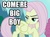 Size: 649x479 | Tagged: safe, edit, edited screencap, screencap, fluttershy, pegasus, pony, g4, my little pony: friendship is magic, the return of harmony, caption, discorded, flutterbitch