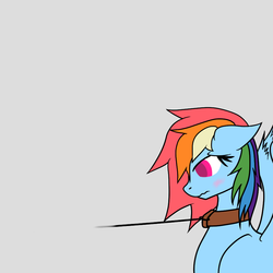 Size: 900x900 | Tagged: safe, rainbow dash, g4, askblinddash, blushing, collar, female, leash, wingboner