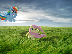 Size: 1365x1024 | Tagged: safe, artist:destructodash, fluttershy, rainbow dash, pegasus, pony, g4, duo, female, field, flying, irl, looking at someone, mare, open mouth, open smile, outdoors, photo, ponies in real life, smiling, spread wings, windswept mane, wings