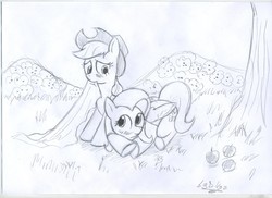 Size: 3509x2550 | Tagged: safe, artist:vd-dv, applejack, fluttershy, g4, female, high res, lesbian, monochrome, ship:appleshy, shipping