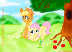 Size: 900x654 | Tagged: safe, artist:anorelle, artist:vd-dv, applejack, fluttershy, g4, blanket, colored, female, field, lesbian, ship:appleshy, shipping