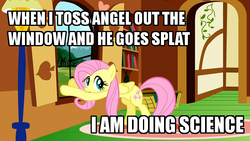 Size: 640x360 | Tagged: safe, angel bunny, fluttershy, g4, science, things fluttershy won't say