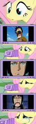 Size: 808x2784 | Tagged: safe, fluttershy, human, pegasus, pony, g4, exploitable meme, female, male, mare, meme, monkey d. luffy, nico robin, one piece, tv meme