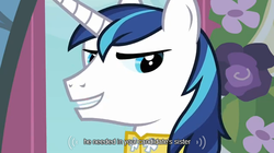 Size: 640x358 | Tagged: safe, edit, edited screencap, screencap, shining armor, pony, unicorn, a canterlot wedding, g4, bust, caption, male, solo, stallion, text, youtube caption