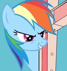 Size: 565x600 | Tagged: safe, rainbow dash, g4, bad day at cat rock, female, parody, that fucking cat, that fucking dash, tom and jerry