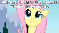 Size: 1020x573 | Tagged: safe, edit, edited screencap, screencap, fluttershy, pegasus, pony, g4, season 1, sonic rainboom (episode), cute, female, headcanon, image macro, impact font, looking up, mare, nymphomaniac, pink hair, pink mane, pyromaniac, shyabetes, smiling, solo, teal eyes, text, yellow coat, yellow fur, yellow pony