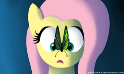 Size: 1650x990 | Tagged: safe, artist:equinox23, fluttershy, butterfly, pony, g4, bust, butterfly on nose, cross-eyed, female, front view, full face view, gradient background, insect on nose, looking at something, mare, open mouth, solo