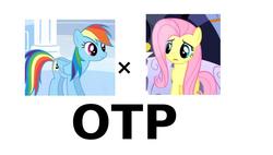 Size: 1008x572 | Tagged: safe, fluttershy, rainbow dash, g4, exploitable meme, female, lesbian, meta, otp, ship:flutterdash, shipping