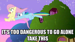 Size: 1280x721 | Tagged: safe, edit, edited screencap, screencap, fluttershy, rainbow dash, pegasus, pony, g4, the super speedy cider squeezy 6000, female, fluttershy's cottage, image macro, it's dangerous to go alone, mare, meme, open mouth, take this, the legend of zelda, window