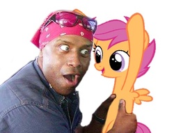 Size: 414x317 | Tagged: safe, scootaloo, human, g4, happy negro, irl, irl human, meme, photo