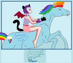 Size: 356x311 | Tagged: safe, artist:pixeloriginal, rainbow dash, horse, human, pegasus, g4, female, humans riding ponies, riding