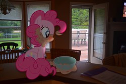 Size: 2464x1632 | Tagged: safe, artist:oppositebros, pinkie pie, earth pony, pony, g4, irl, oatmeal, photo, ponies in real life, vector