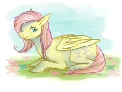 Size: 800x600 | Tagged: safe, artist:cummeron, fluttershy, pegasus, pony, g4, female, folded wings, looking at you, looking sideways, mare, open mouth, outdoors, prone, smiling, solo, wings