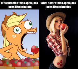 Size: 815x720 | Tagged: safe, artist:hotdiggedydemon, edit, applejack, human, pony, .mov, g4, cosplay, haters, irl, irl human, jappleack, photo