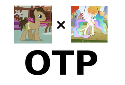 Size: 661x449 | Tagged: safe, doctor whooves, princess celestia, time turner, earth pony, pony, g4, celestiwhooves, exploitable meme, female, male, meme, otp, shipping, simple background, straight, vector, white background