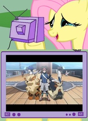 Size: 563x771 | Tagged: safe, fluttershy, arcanine, human, liepard, pony, samurott, stoutland, zangoose, g4, exploitable meme, how the pokemon anime should be, meme, pokémon, tv meme