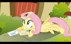 Size: 1024x640 | Tagged: safe, screencap, fluttershy, pegasus, pony, g4, putting your hoof down, female, mare, youtube caption